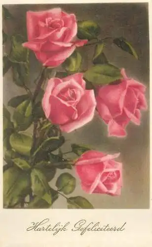Heartily Greetings Post card garden roses