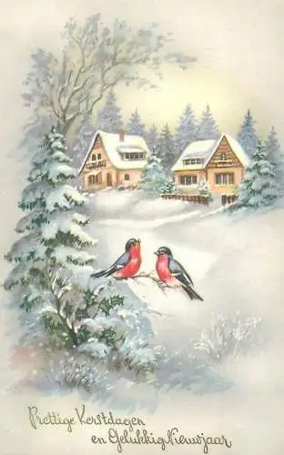 Winter Holiday greetings Dutch 1958 Postcard winter day singing bird