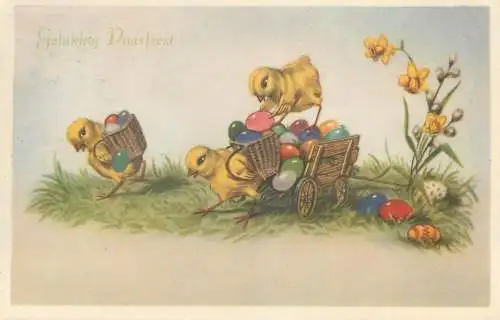 Easter greetings Postcard chicken poultry pencilled eggs