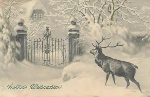 Christmas greetings  Postcard Froliche Weihnachten winter day lonely stag
