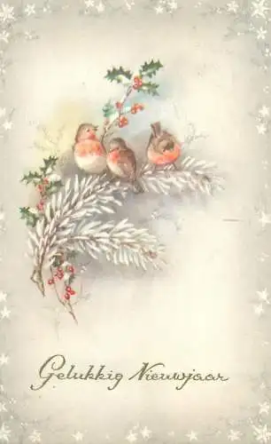 New Year illustration Postcard singing birds on snow-covered branch