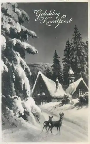 Christmas Postcard greetings winter night deer