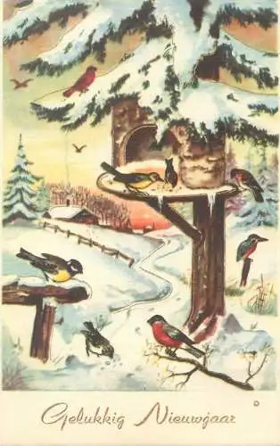 New Year Postcard greetings winter day birds illustration drawing