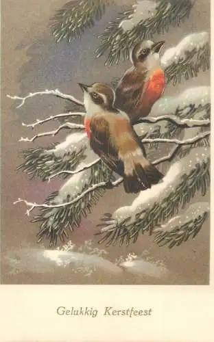 Postcard Merry Christmas greetings birds on snow-covered tree branch illustration