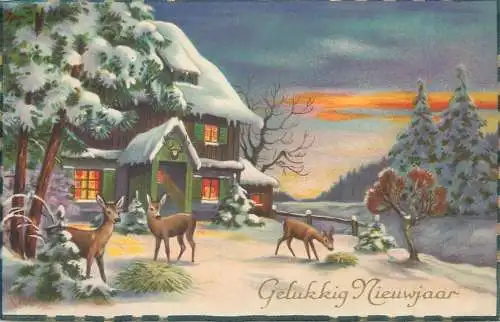 New Years greetings Postcard winter night forest lodge deer illustration