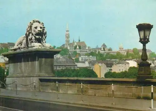 Postcard Hungary Budapest Chain Bridge lion statue detail view and cityscape