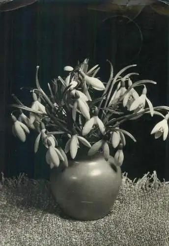 Birthday greetings Postcard snowdrops vase floral arrangement