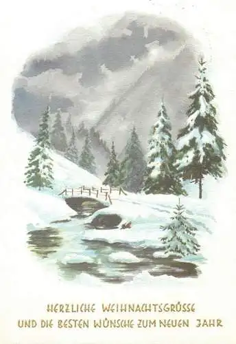 Winter Holidays greetings Postcard picturesque natural snow-covered landscape illustration