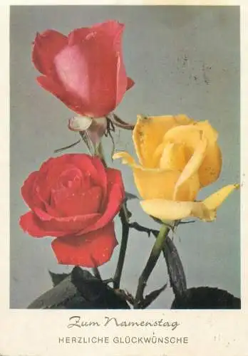 Postcard roses bouquet