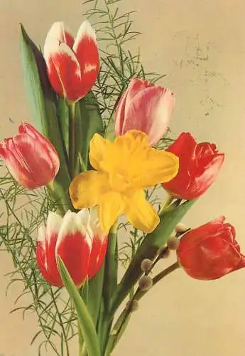 Postcard tulips bouquet