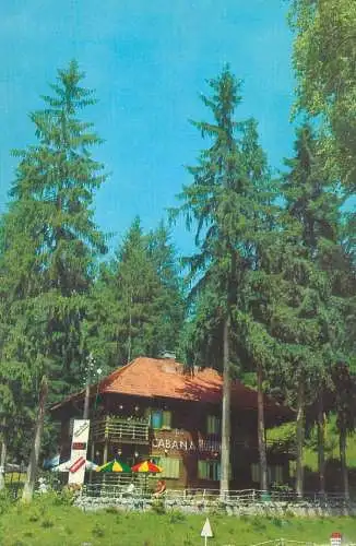 Postcard Romania vedere cabana Homorod