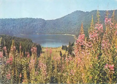 Postcard Romania vedere lacul Sf. Ana