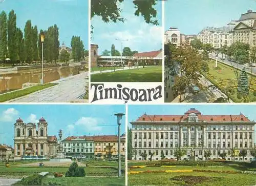 Postcard Romania vedere Timisoara
