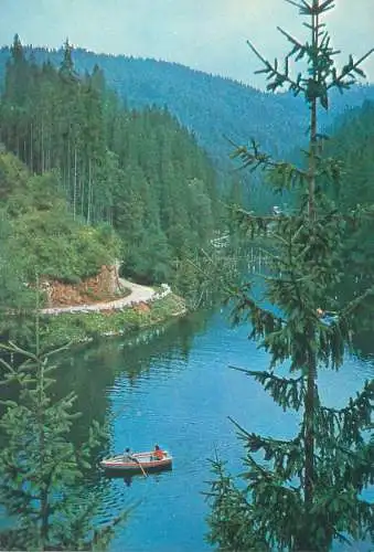 Postcard Romania vedere Lacul Rosu