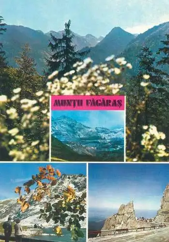 Postcard Romania vedere Muntii Fagaras