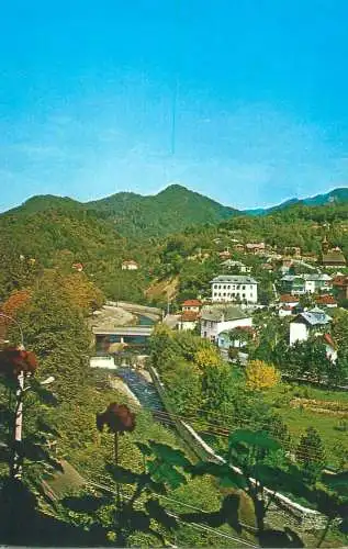 Postcard Romania vedere Olanesti