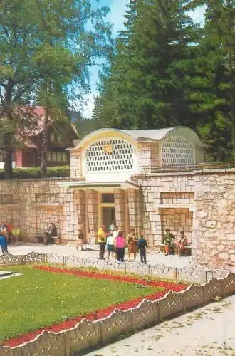 Postcard Romania vedere Borsec izvorul principal de apa minerala