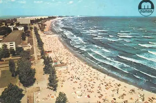 Postcard Romania vedere Mamaia