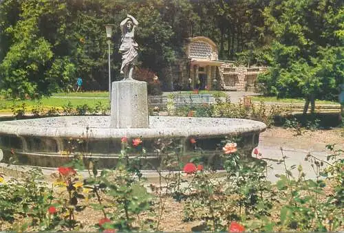 Postcard Romania vedere Borsec izvorul de apa minerala