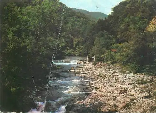 Birthday greetings Postcard picturesque natural landscape rapids stream