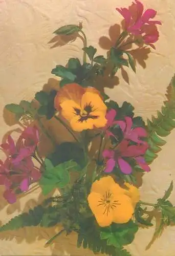 Postcard pansies and  colourful floral arrangement