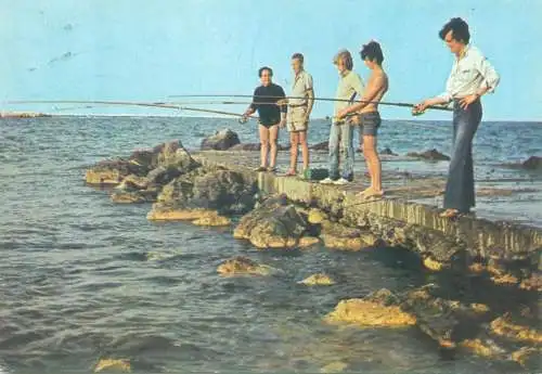 Romania Postcard fishing types and scenes
