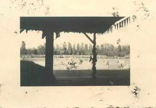 Photo ca. 6 x 9 cm social history hippodrome horse fence