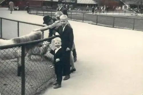 Photo ca. 7 x 10 cm children petting animals at zoo