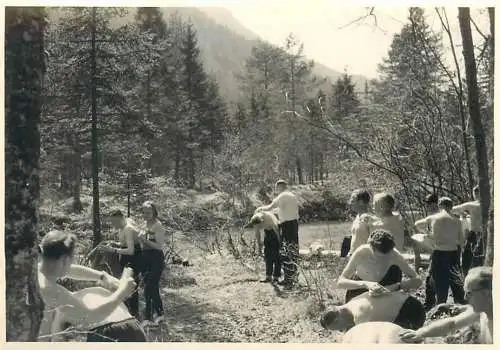 Photo ca. 7 x 10 cm camp treatment forest nature