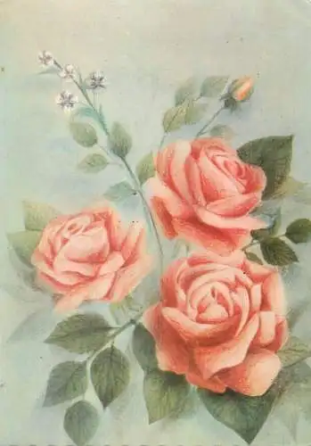 Fine Arts Postcard pink roses bouquet illustration