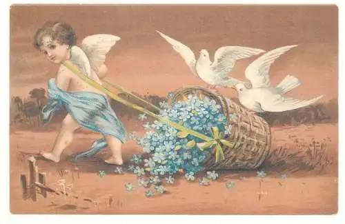 Blumen Buch Vergiss mein nicht / Forget me not flowers repro best wishes greetings postcard angel dove