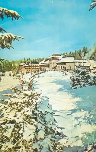 Romania Fine Art Postcard Poiana Brasov hotel "Sport" peisaj de iarna