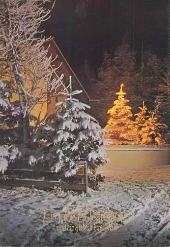 Flower postcard greetings winter scene tree christmas