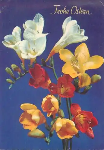Flower postcard greetings Frohe Ostern 1972