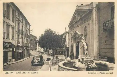 France Postcard cpa Amelie-les-Bains Avenue et Place Carnot