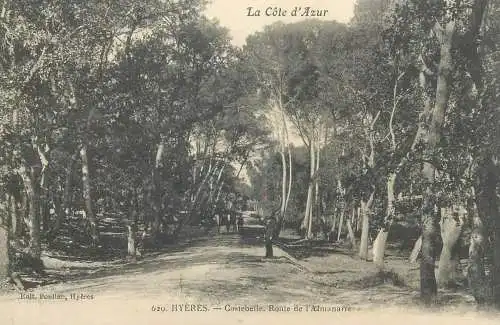France Postcard cpa Cote d'Azur Hyeres Costebelle Route de l'Almanarre