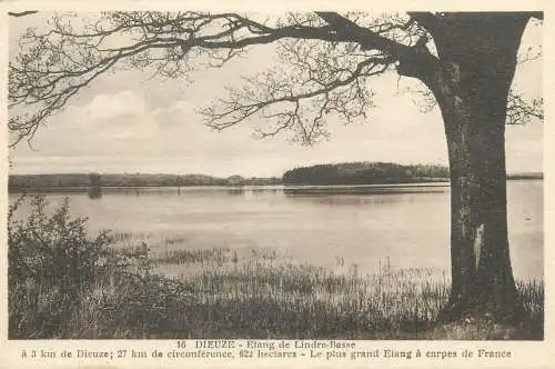 France Postcard cpa Dieuze Etang de Lindre Basse