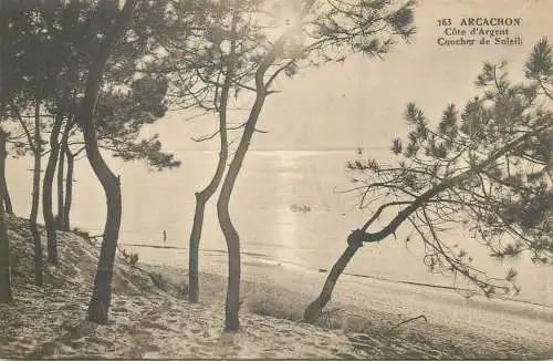 France Postcard cpa Arcachon Cote d'Argent Coucher de Soleil