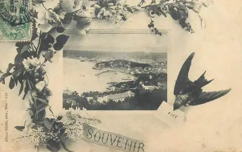 France Postcard souvenir de Nice swallow bird