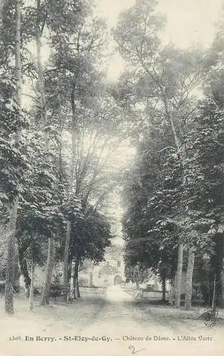 France Postcard cpa En Berry St-Eloy de Gy  Chateau de Dame L'Allee Verte