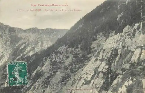 cpa France Postcard Le Canigou entree de la foret Balatg