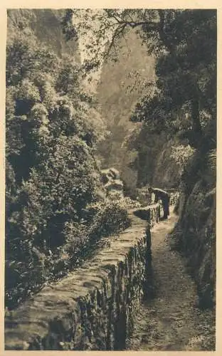 cpa France Postcard Amelie-les-Bains Gorges du Mondony paysage pittoresque