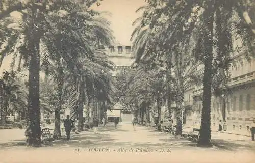 cpa France Postcard Toulon Allee de Palmiers
