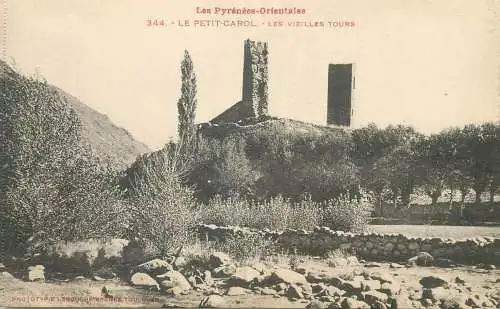France cpa Postcard Le Petit Carol Le vieilles tours