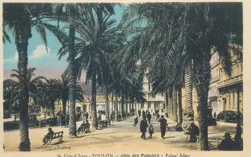France Postcard Toulon Allee des Palmiers