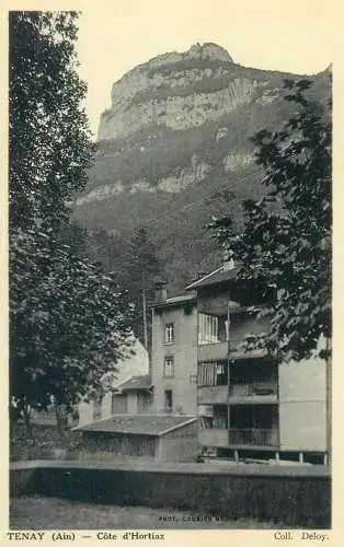 France cpa Post card Tenay (Ain) Cote d'Hortiaz