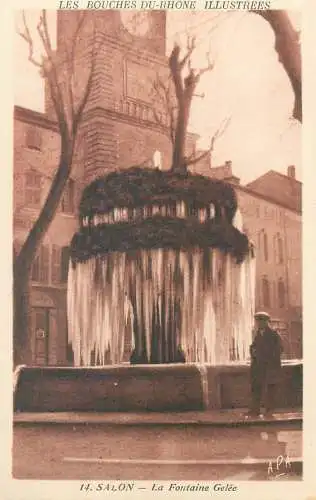 France cpa Postcard Salon La Fontaine Gelee