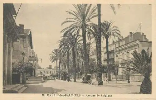France cpa Postcard Hyeres les Palmiers Avenue de Belgique