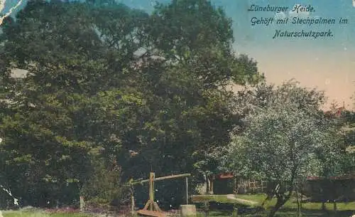 Postcard Germany Lüneburger Heide 1920