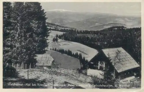 Postcard Austria alplp bei krieglach